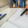 image:imagePilot FriXion Synergy Clicker Erasable Refillable Retractable Gel Ink Pens Extra Fine Point 05 mm Pack of 14 Blue FriXion Erasable Pens 05  Ideal for School amp Office WritingBlack